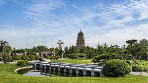 贝博艾佛森 商丘绿化苗木基地在哪个城市